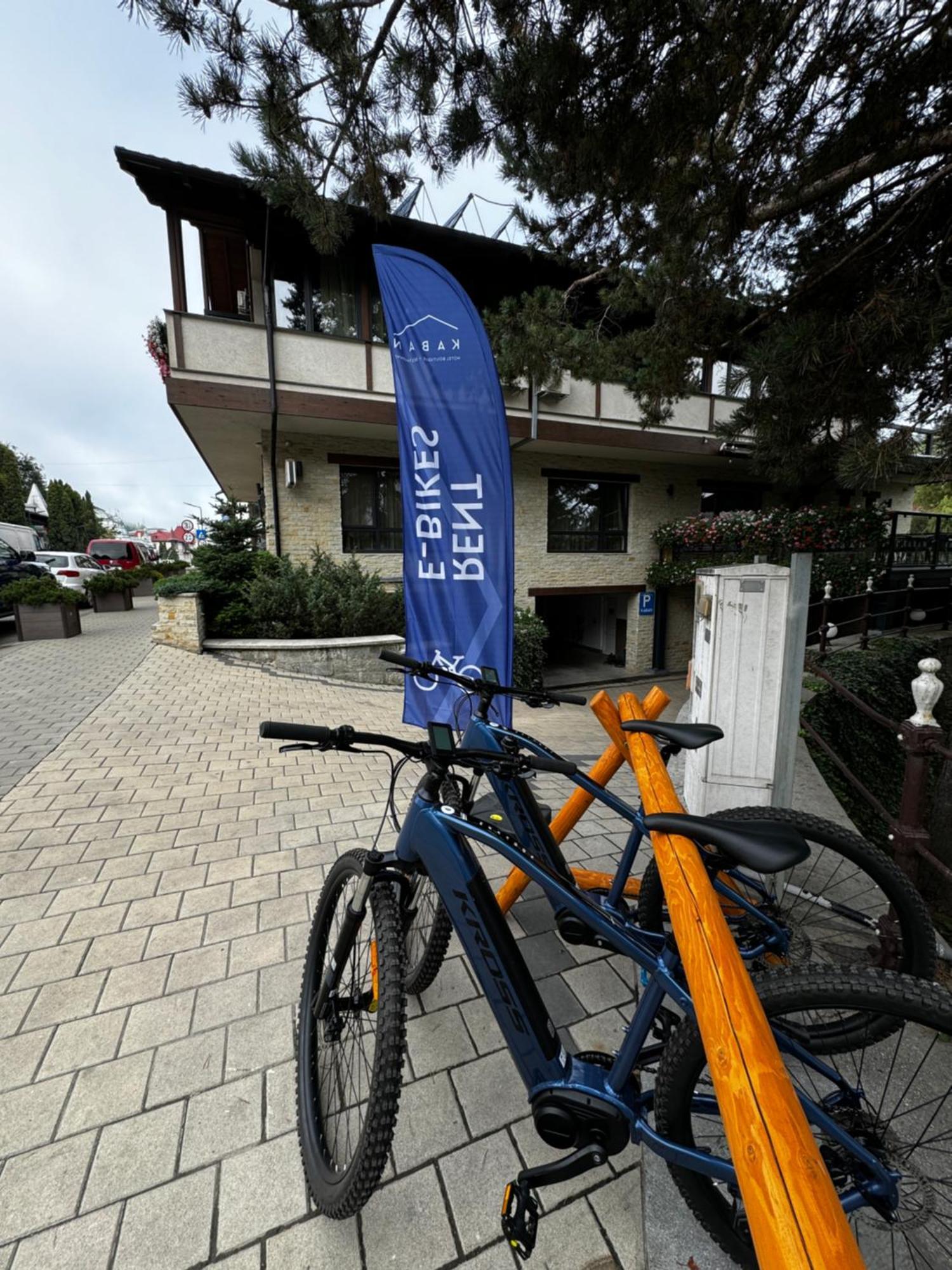 Kaban Boutique - 5Star Central Villa In Vatra Dornei Exterior photo